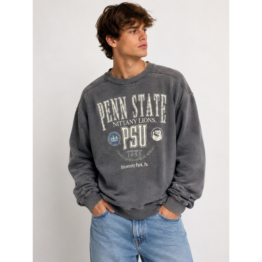 Vintage Penn State Nittany Lions Crewneck Sweatshirt Men's Large Gray Y2K
